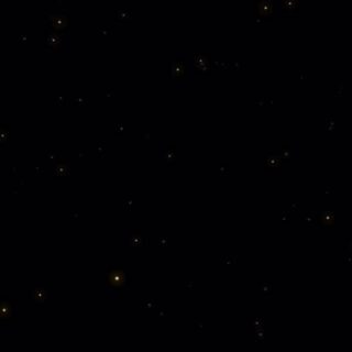 11月12日水曜日営業してます️ 海鮮串焼き専門店　まつりや 06-6…